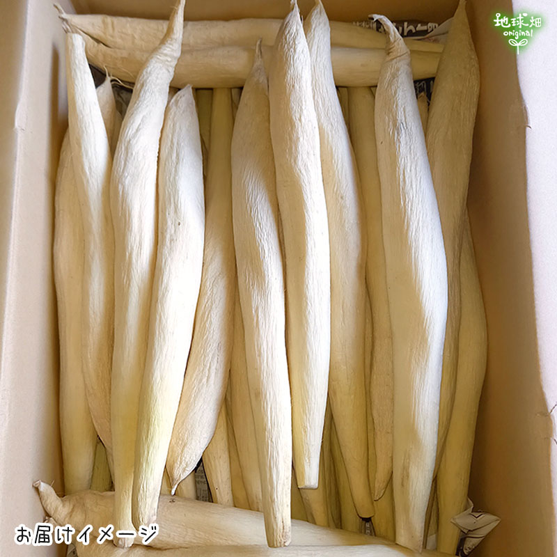 ご予約承り中】宮崎県産 丸干し大根 約4kg(20～25本前後) 漬物用 数量